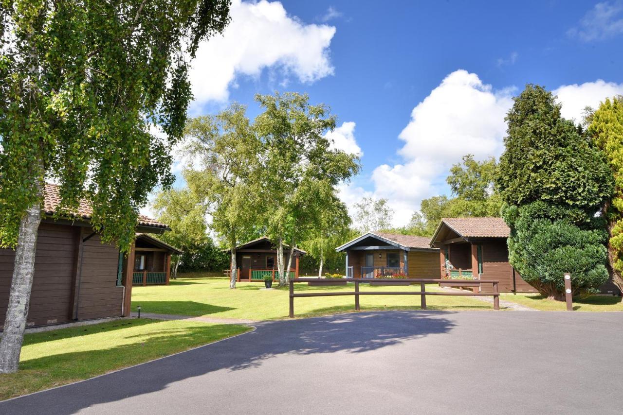 ライム・レジス 4 Pinewood Retreatヴィラ エクステリア 写真